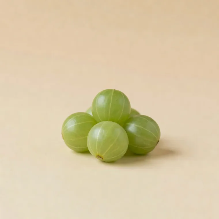 Amla (Phyllanthus emblica) — plantă medicinală
