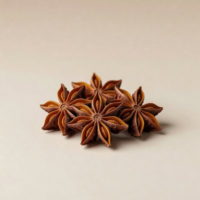 Anason stelat (Illicium verum) — plantă medicinală
