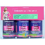 Cicoare 60cps+Detox Suplu 60cps+Aloe Ferox 60cps