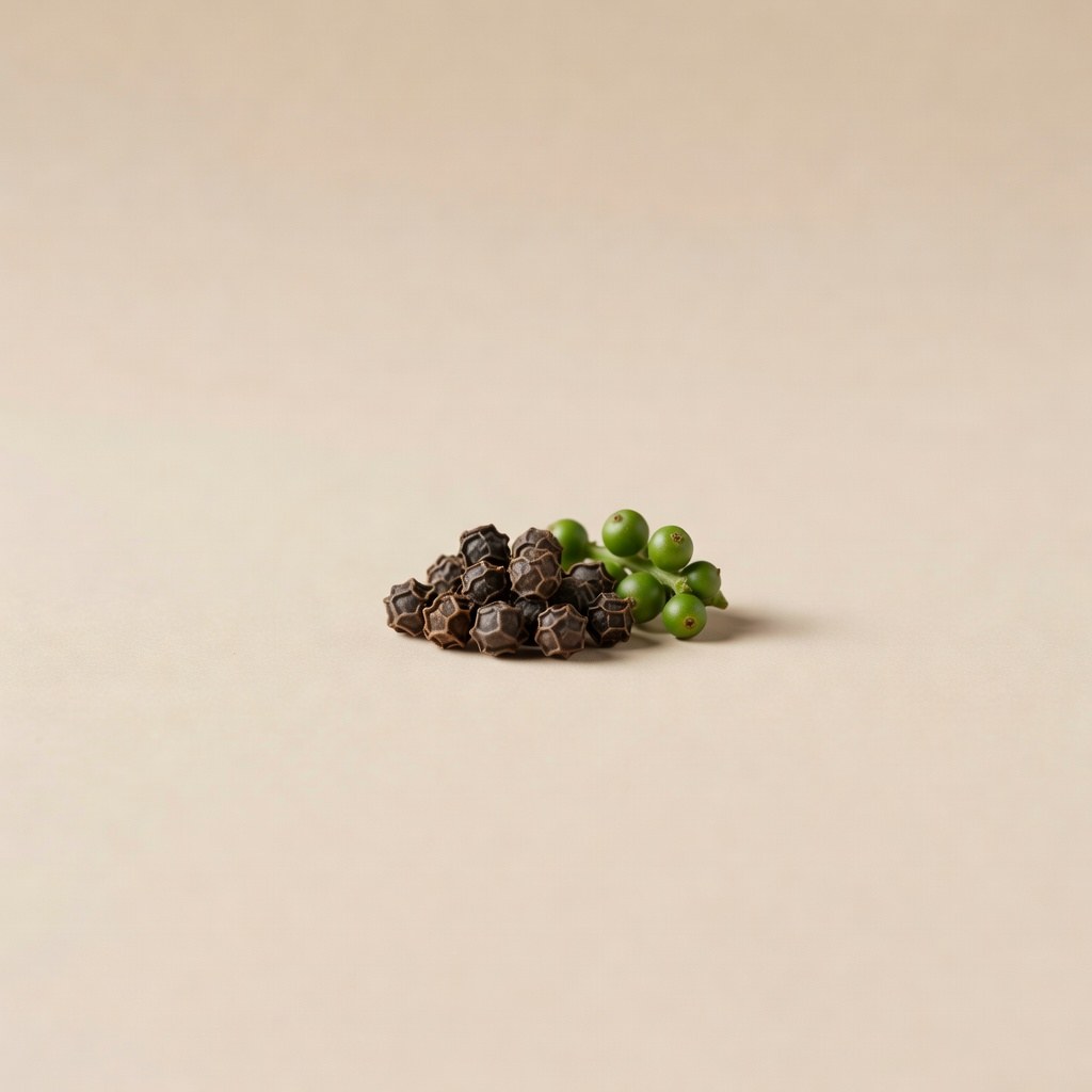 Piper negru (Piper nigrum) — plantă medicinală