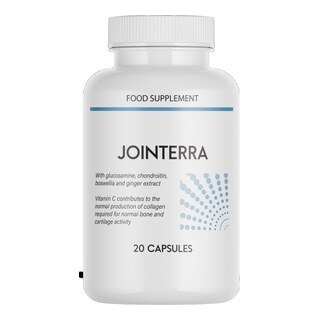 Jointerra