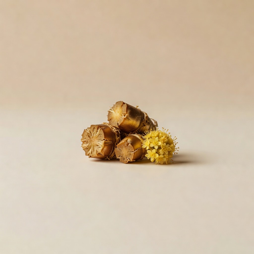 Rhodiola (Rhodiola rosea) — plantă medicinală